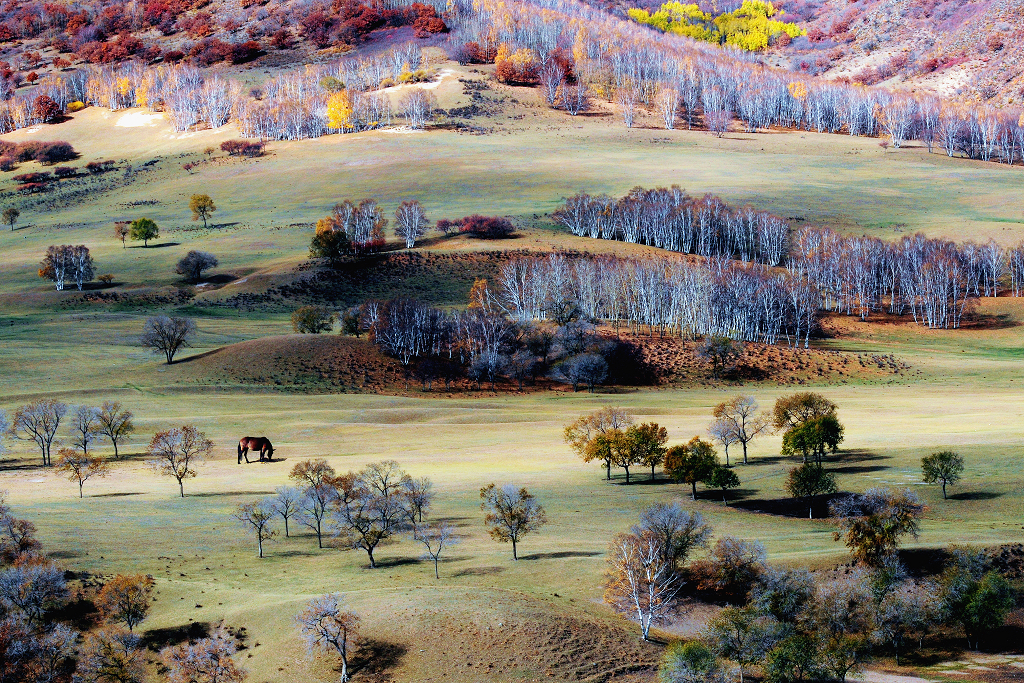 获奖作品  Photography 攝影特區