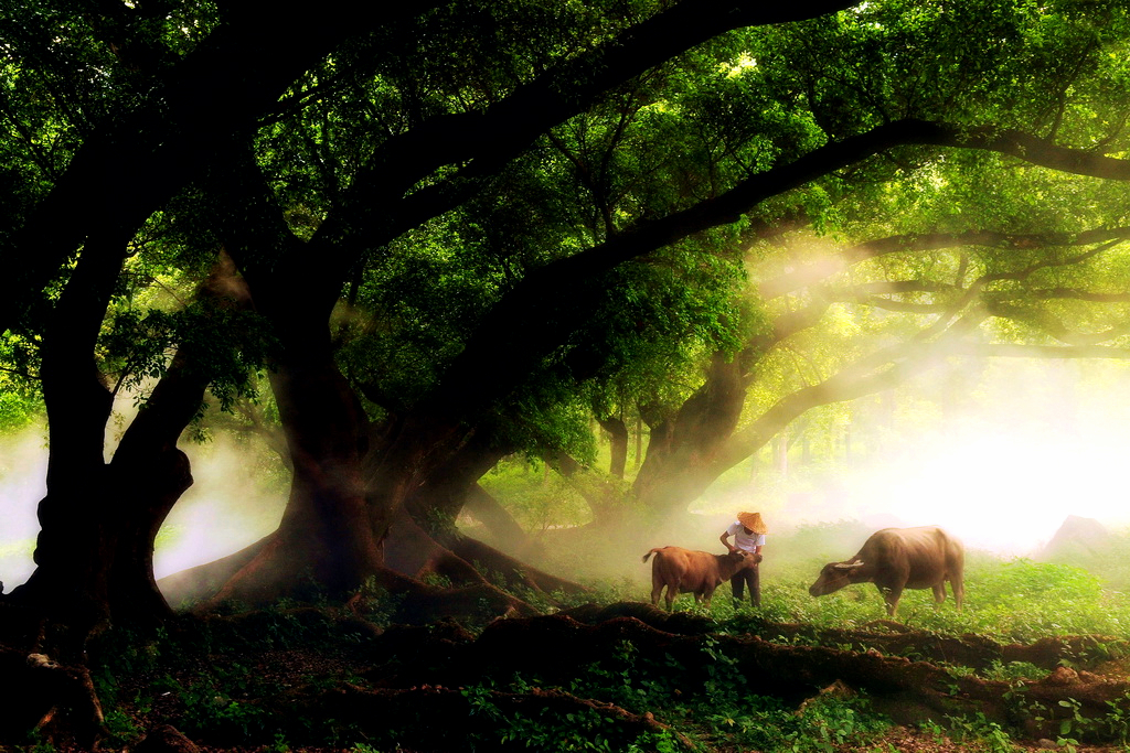 获奖作品  Photography 攝影特區