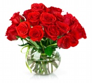Roses  Flowers花卉