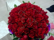 Roses  Flowers花卉