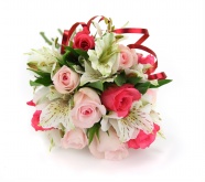 Roses  Flowers花卉