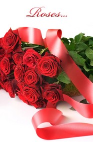 Roses  Flowers花卉