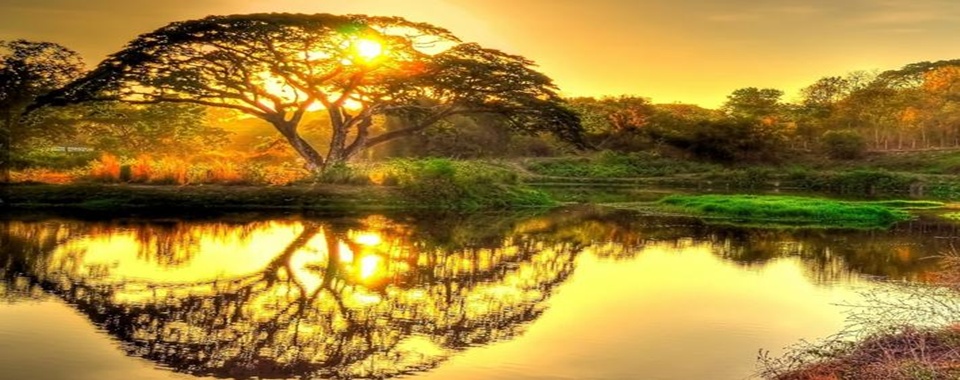   Sunset 夕陽