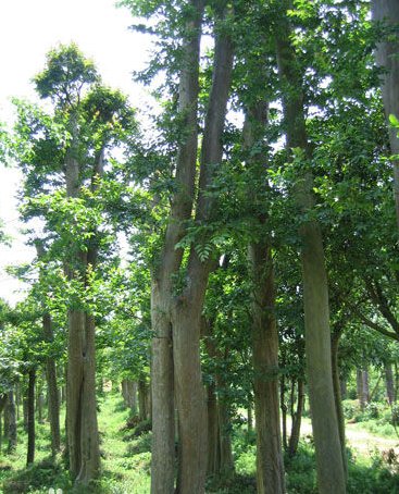 執著與勇敢義無反顧  Philosophy of life感悟人生