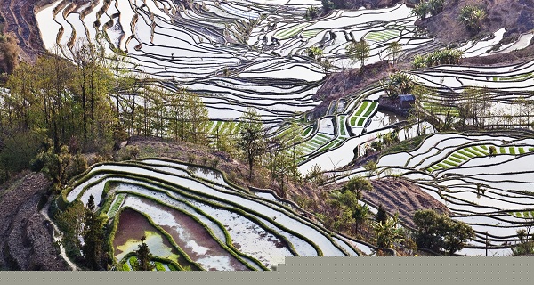 经典的云南游玩线路  World Trave...欧美