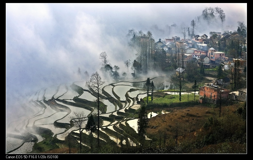 河溪水景擁抱清涼   Landscape 山水湖林