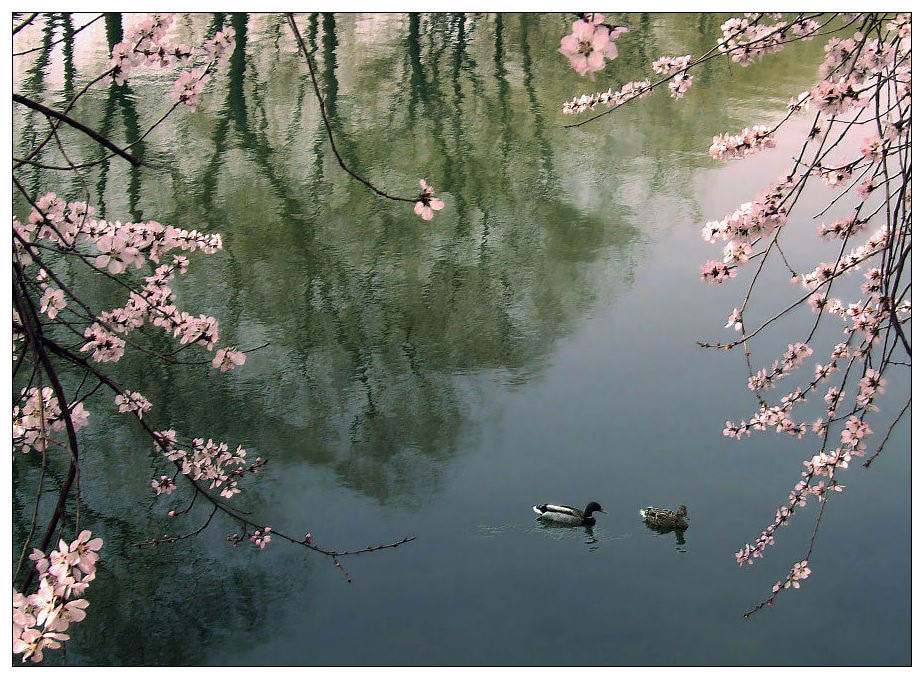 河溪水景擁抱清涼   Landscape 山水湖林