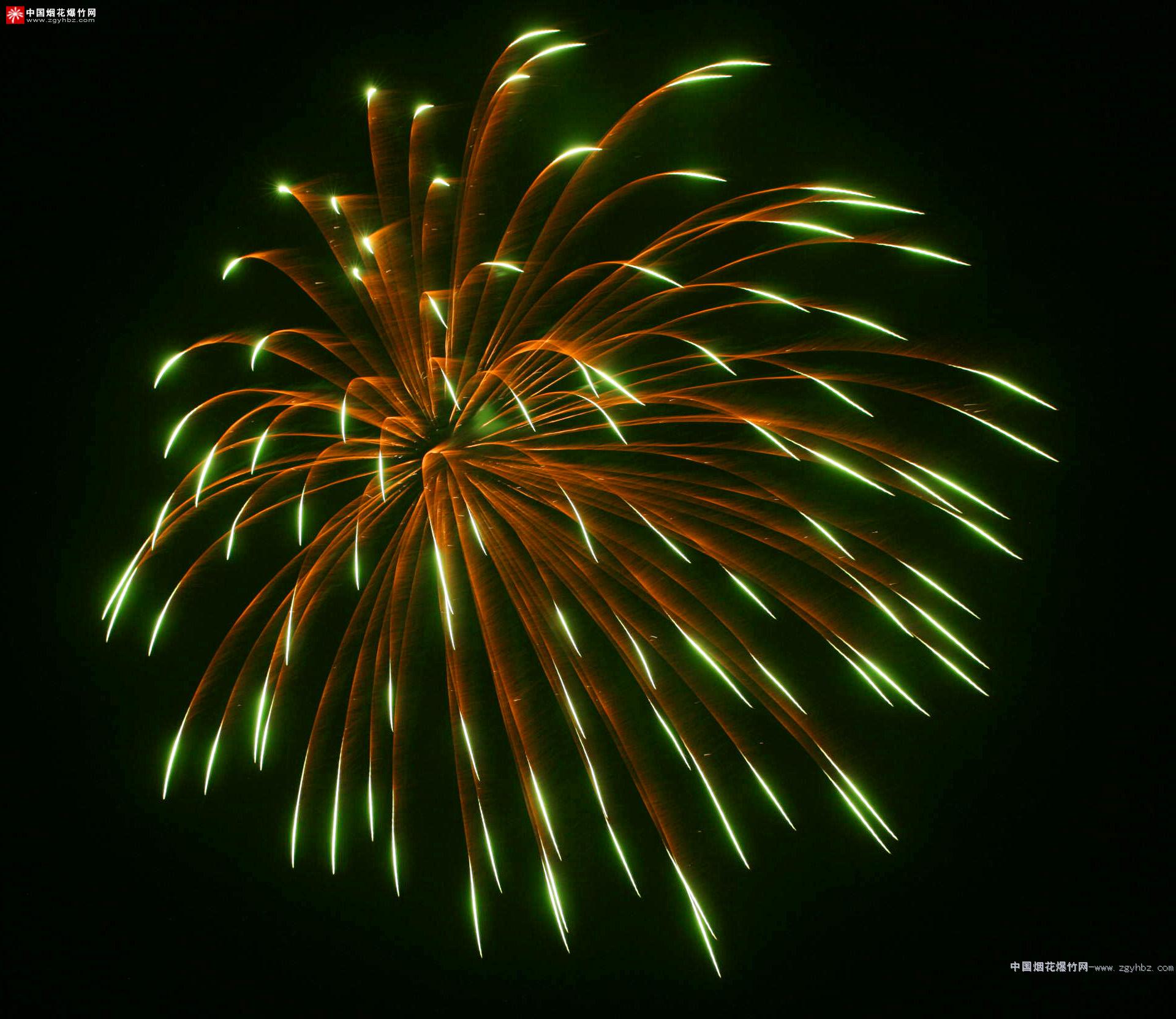   Fireworks 烟花