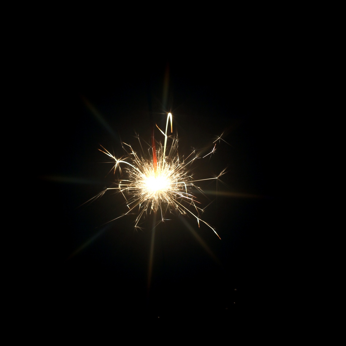   Fireworks 烟花