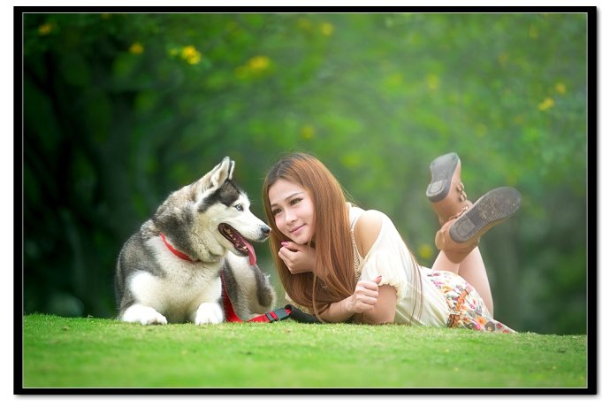 宠物情缘  Pets 寵物護理 +紀念堂
