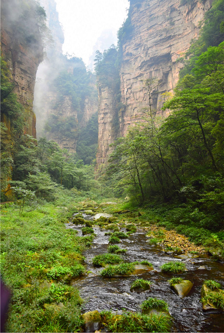    Landscape 山水湖林
