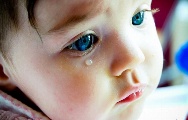 Funny Babies  Funny Baby