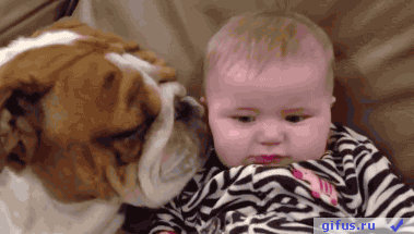 Funny Babies  Funny Baby