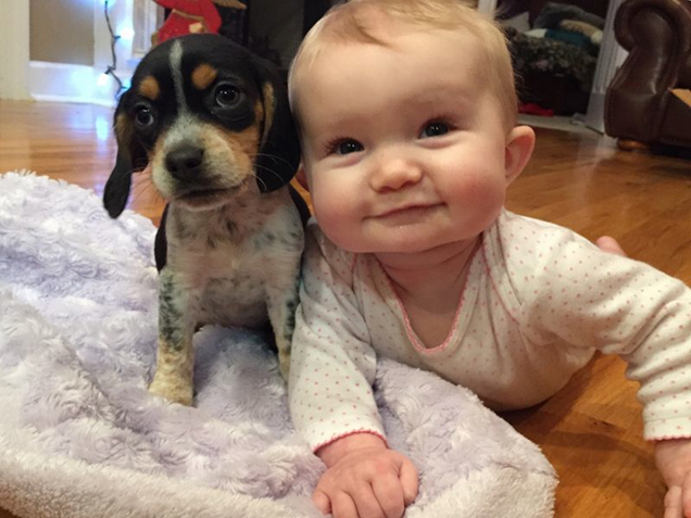 Cats and Dogs Love Babies  Pets 寵物護理 +紀念堂
