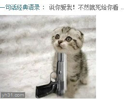   Puppies- cats小狗與猫