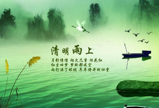 雄鹰展翅图片  Birds 飛烏