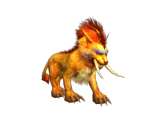   Wild animal 野生動物