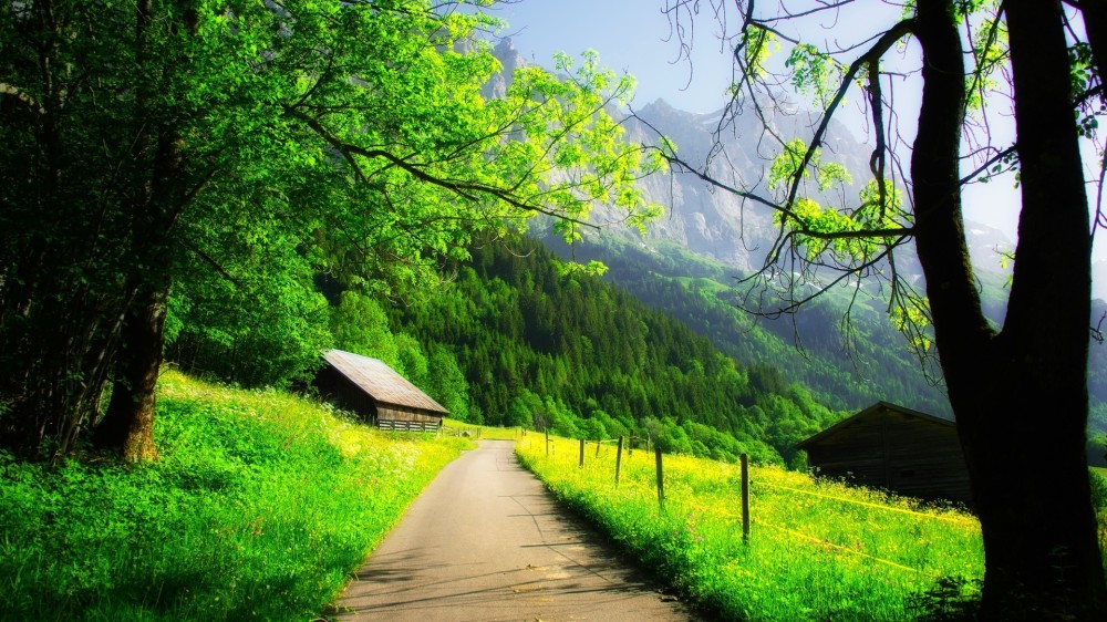    Landscape 山水湖林