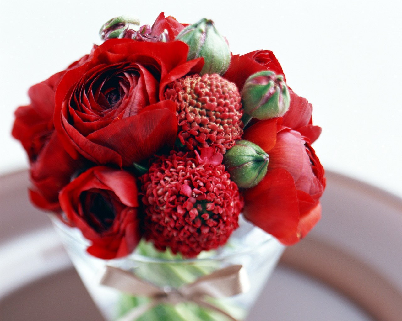   Flowers花卉