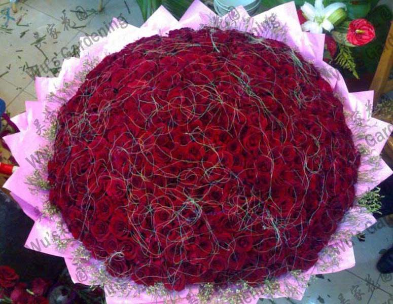   Flowers花卉