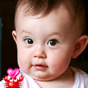   Baby 虾仔虾女