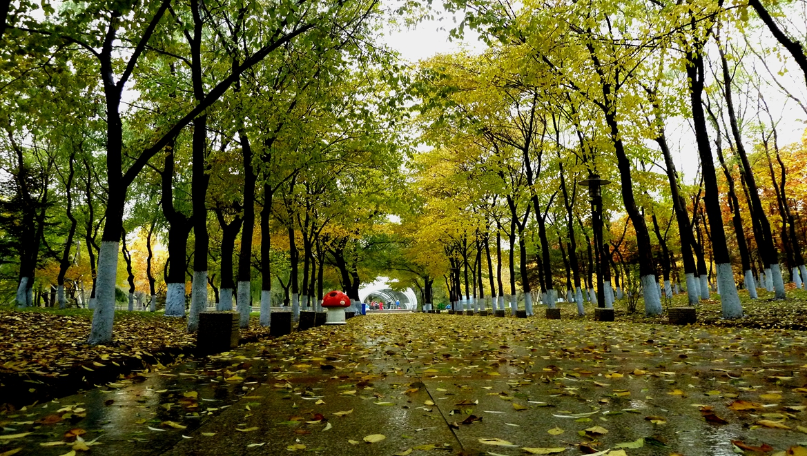    Landscape 山水湖林