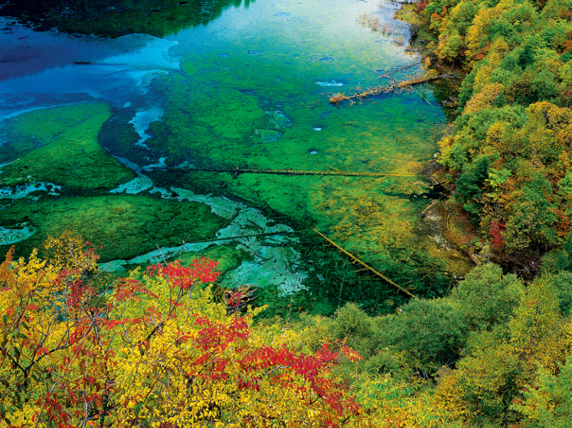    Landscape 山水湖林