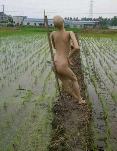   Nonsensical 無厘頭图片