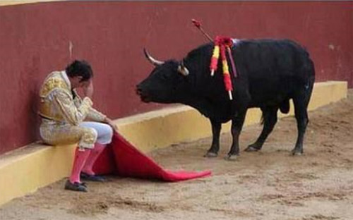Cow : Come on !   一天三笑 + 解悶處