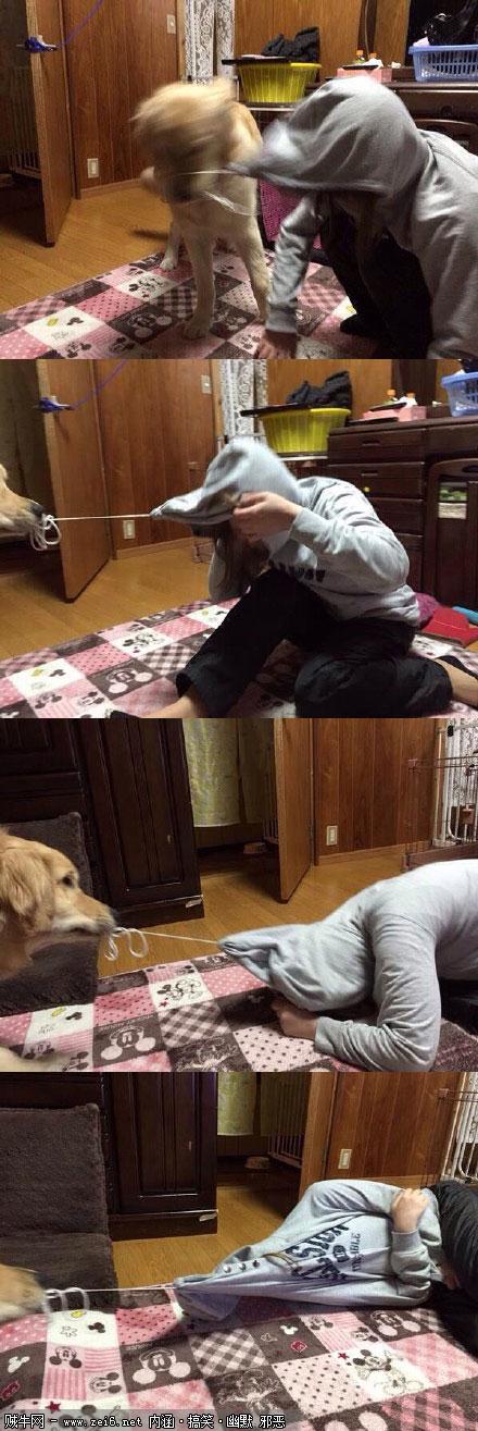 各有一套  Pets 寵物護理 +紀念堂