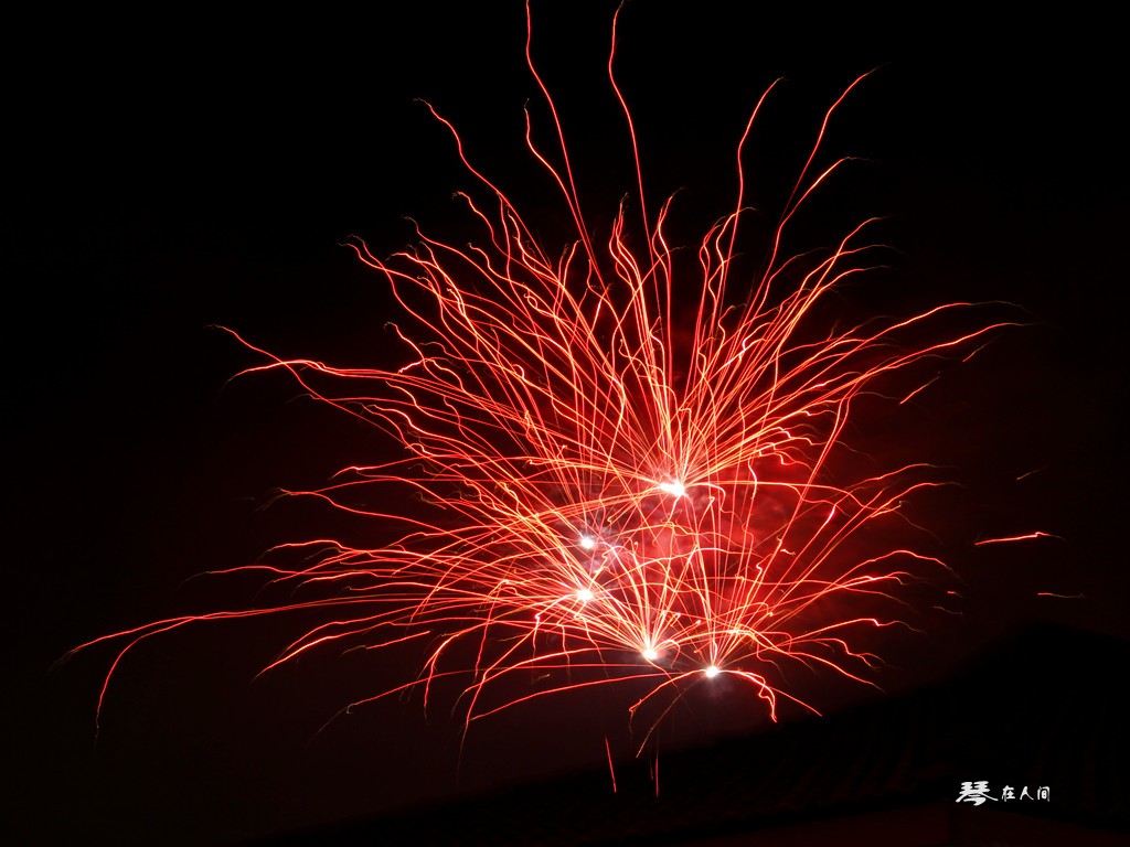 Fireworks Japan-花火  Fireworks 烟花