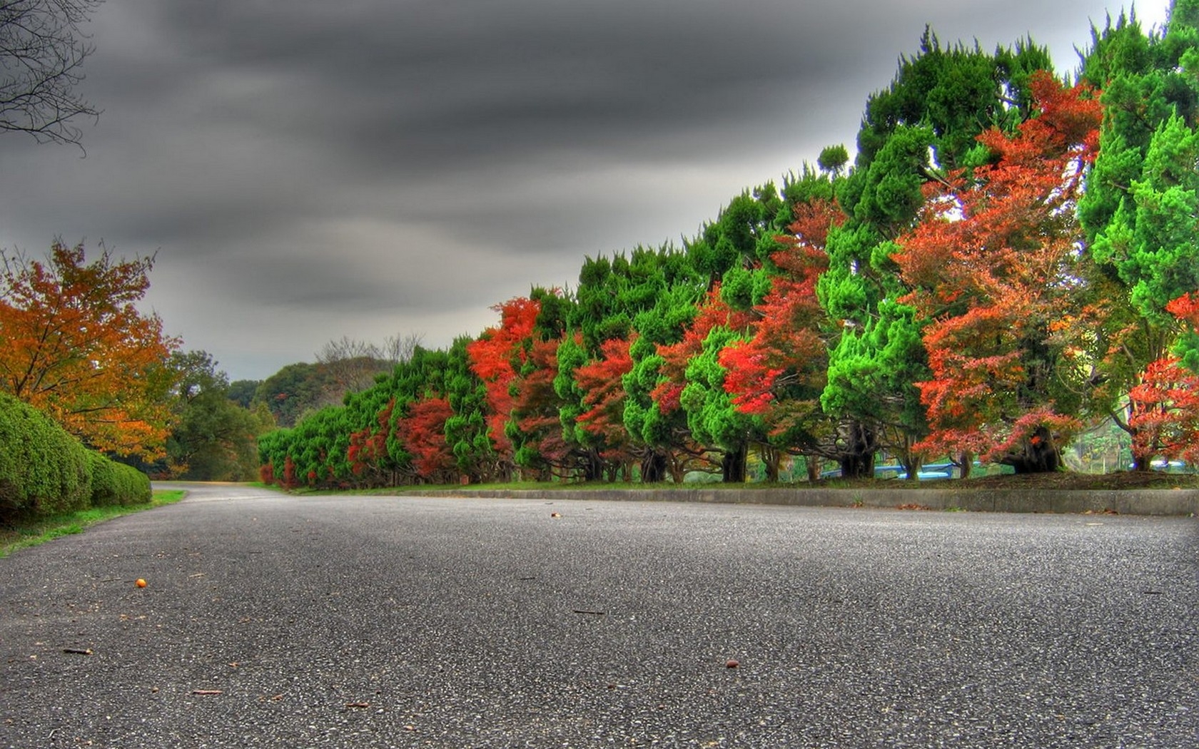    Landscape 山水湖林