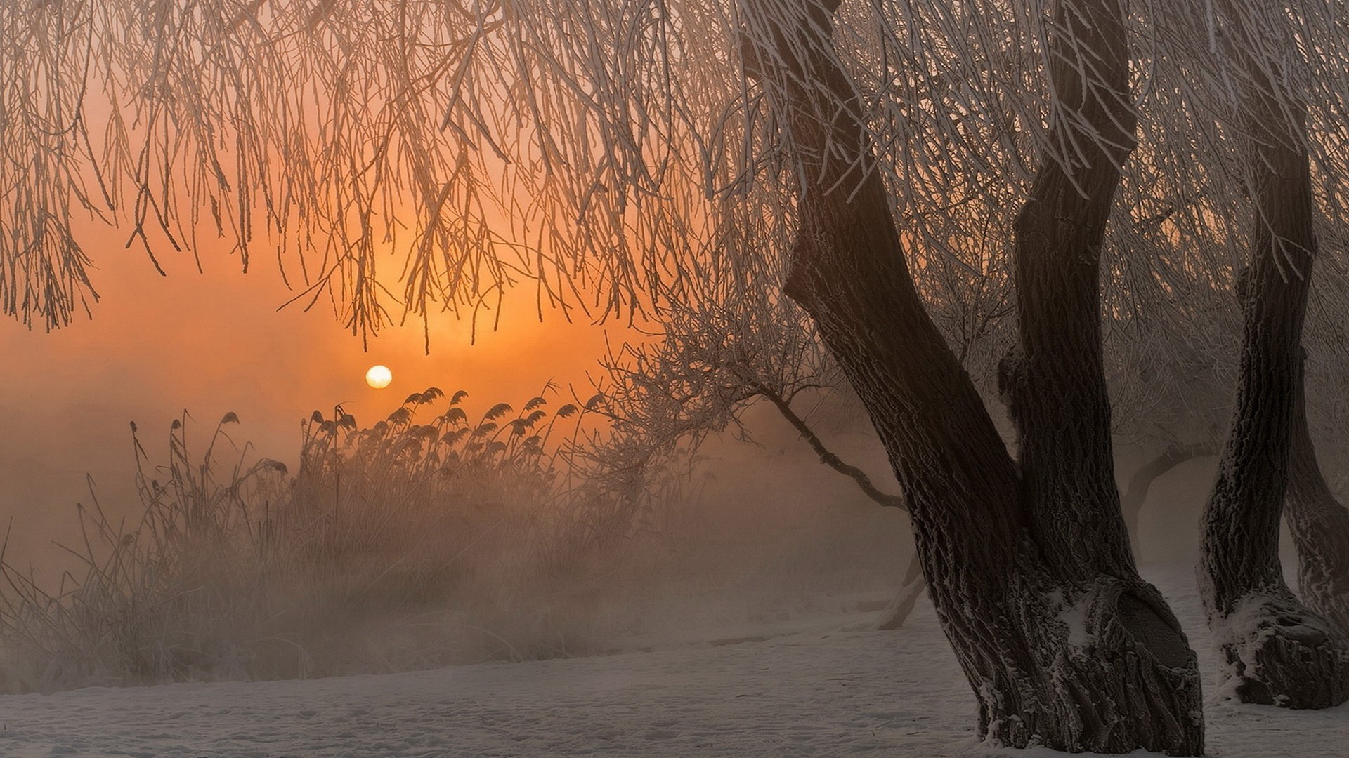 夕陽  Photography 攝影特區