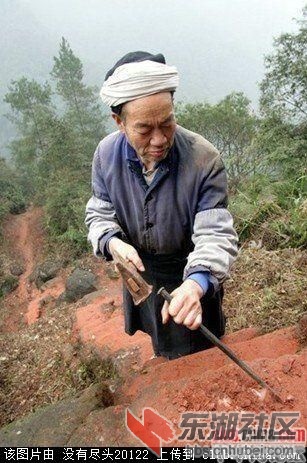爱情天梯  愛情感悟