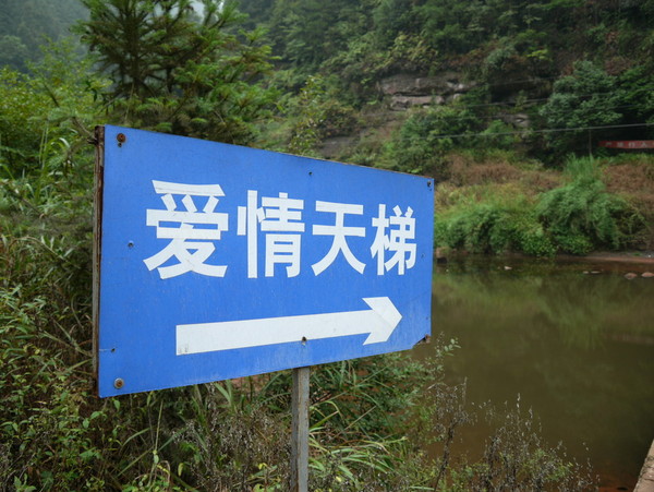 爱情天梯  愛情感悟