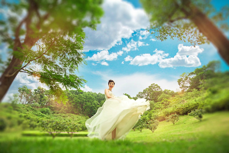   婚礼服務