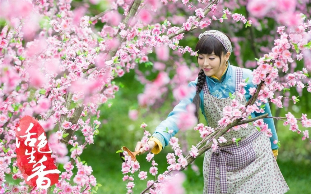 蘭花綻放  Photography 攝影特區