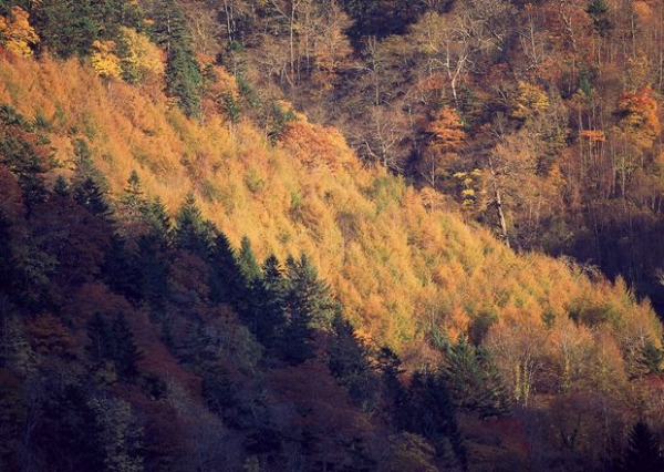    Landscape 山水湖林