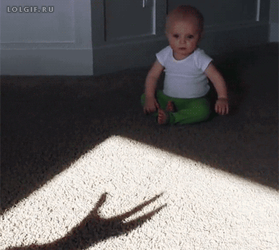   Baby 虾仔虾女