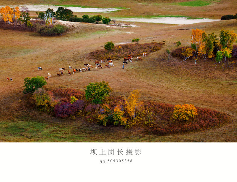    Landscape 山水湖林