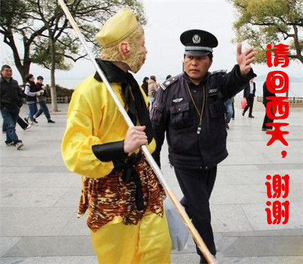   Ecology 生態留影