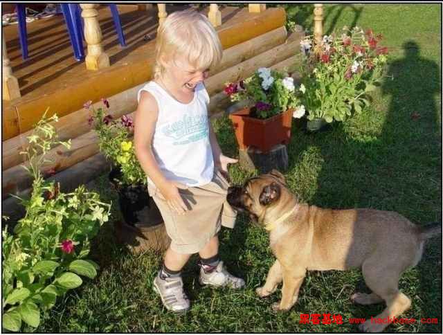 Funny dogs and babies talking  Pets 寵物護理 +紀念堂