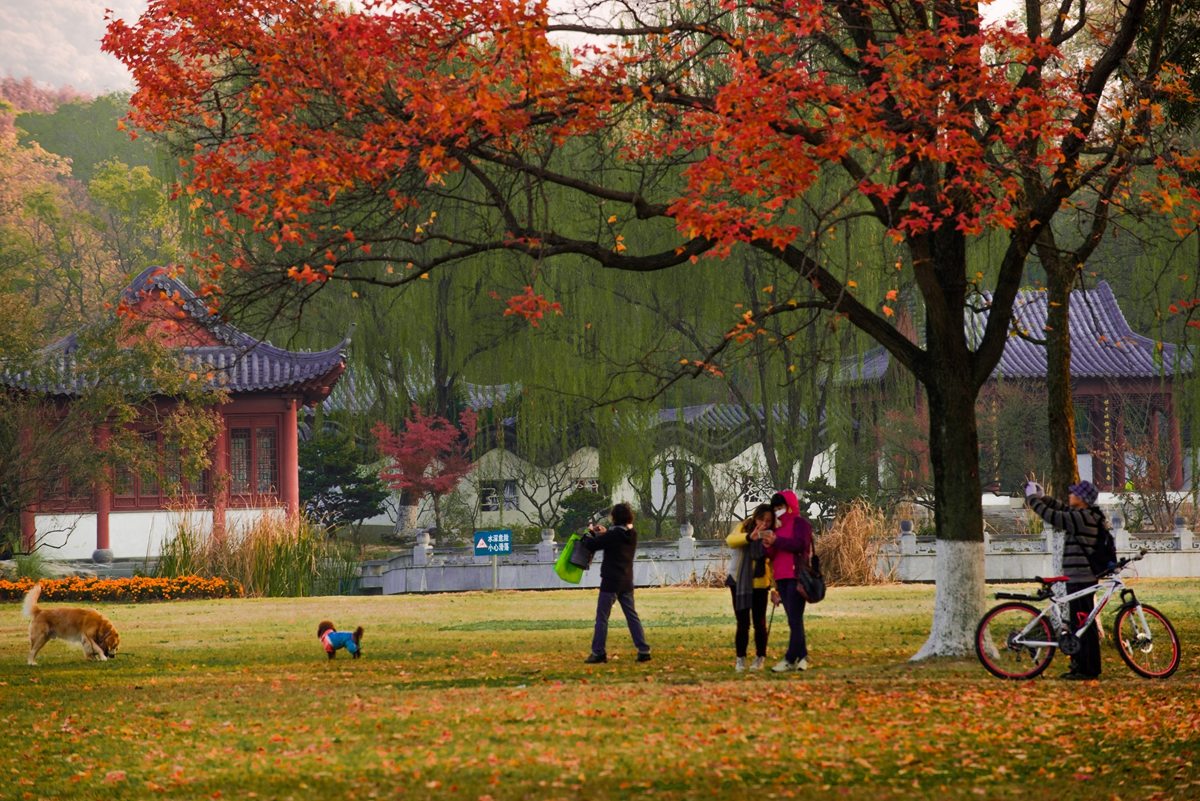    Landscape 山水湖林
