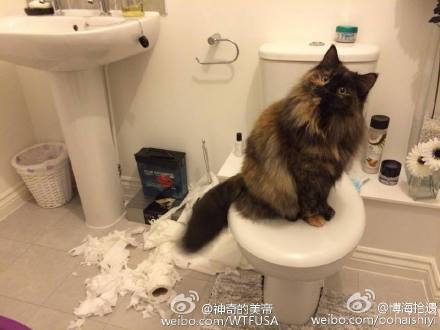   Nonsensical 無厘頭图片