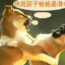 超爆笑的動物  Pets 寵物護理 +紀念堂