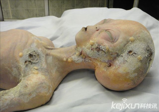 科學家爆料:外星人230歲  UFO探討
