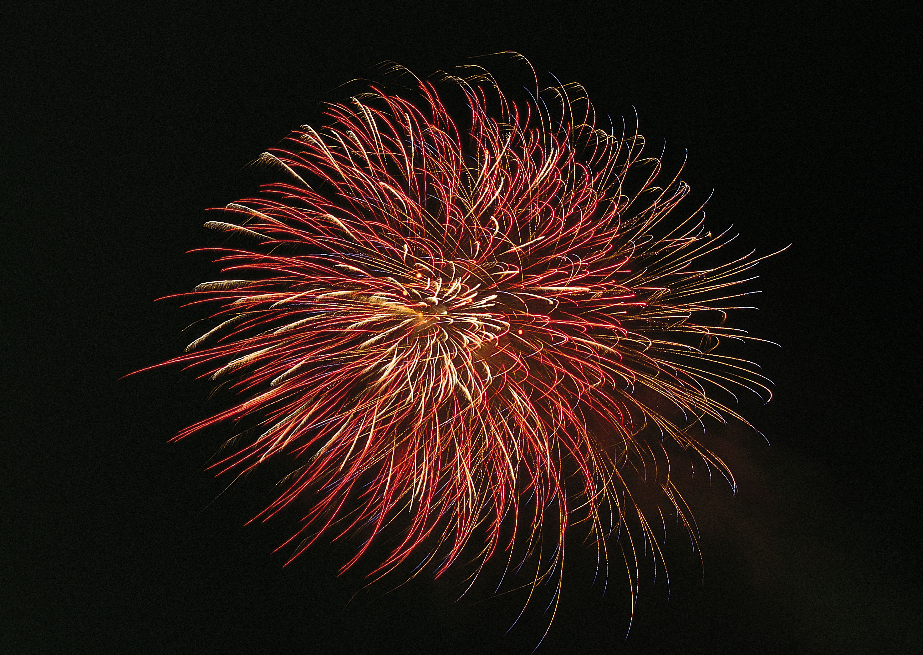   Fireworks 烟花