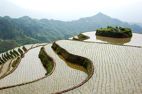   World Travel 世界旅遊