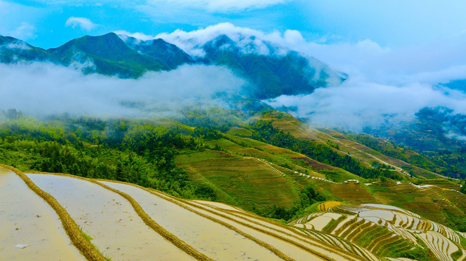   World Travel 世界旅遊