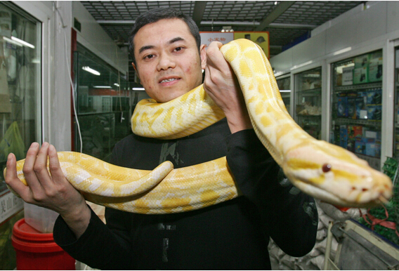 野生動物是可愛宠物  Wild animal 野生動物